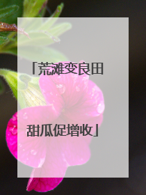 荒滩变良田 甜瓜促增收
