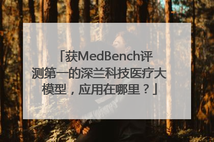 获MedBench评测第一的深兰科技医疗大模型，应用在哪里？