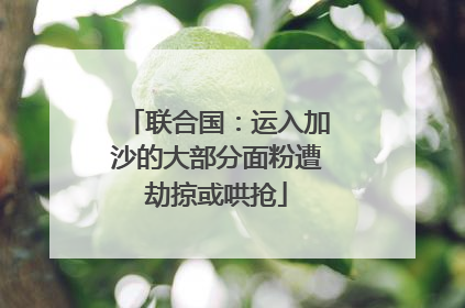 联合国：运入加沙的大部分面粉遭劫掠或哄抢