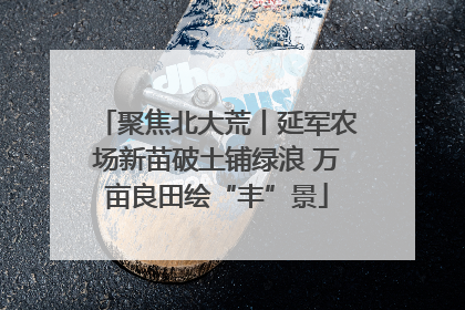 聚焦北大荒丨延军农场新苗破土铺绿浪 万亩良田绘“丰”景