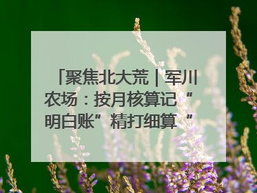 聚焦北大荒｜军川农场：按月核算记“明白账”精打细算“过紧日子”