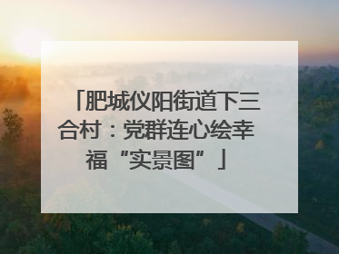 肥城仪阳街道下三合村：党群连心绘幸福“实景图”