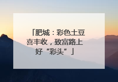 肥城：彩色土豆喜丰收，致富路上好“彩头”