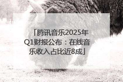 腾讯音乐2025年Q1财报公布：在线音乐收入占比近8成