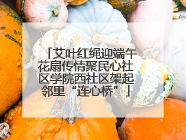 艾叶红绳迎端午花扇传情聚民心社区学院西社区架起邻里“连心桥”