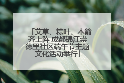 艾草、粽叶、木箭齐上阵 成都锦江崇德里社区端午节主题文化活动举行
