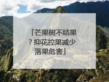芒果树不结果？抑花控果减少落果危害
