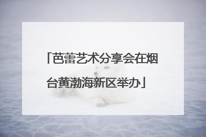 芭蕾艺术分享会在烟台黄渤海新区举办