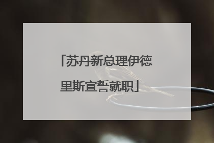 苏丹新总理伊德里斯宣誓就职