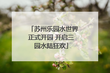 苏州乐园水世界正式开园 开启三园水陆狂欢