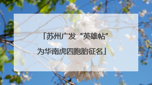 苏州广发“英雄帖”为华南虎四胞胎征名