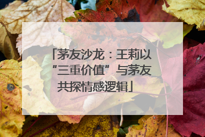 茅友沙龙：王莉以“三重价值”与茅友共探情感逻辑