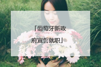 葡萄牙新政府宣誓就职