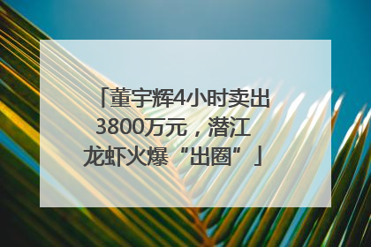 董宇辉4小时卖出3800万元，潜江龙虾火爆“出圈”