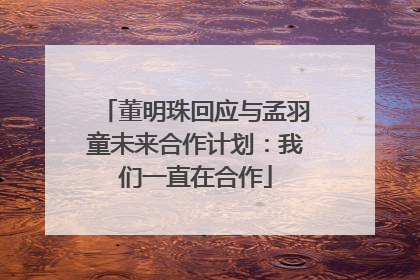 董明珠回应与孟羽童未来合作计划：我们一直在合作