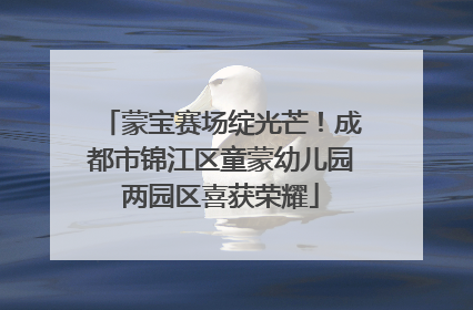 蒙宝赛场绽光芒！成都市锦江区童蒙幼儿园两园区喜获荣耀