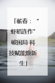 蕲春：“虾稻连作”破困局 科技赋能焕新生