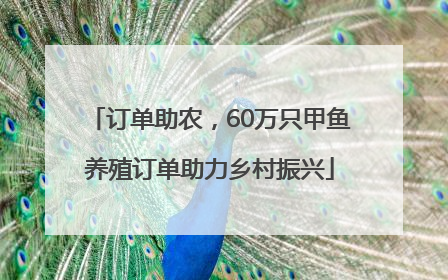 订单助农，60万只甲鱼养殖订单助力乡村振兴