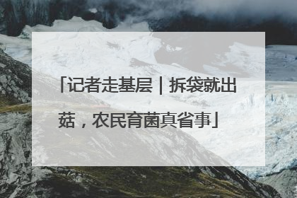记者走基层｜拆袋就出菇，农民育菌真省事