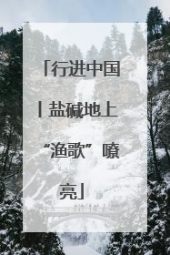 行进中国丨盐碱地上“渔歌”嘹亮