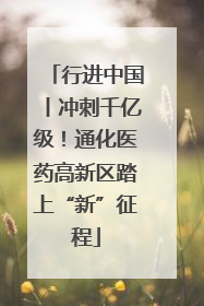 行进中国丨冲刺千亿级！通化医药高新区踏上“新”征程