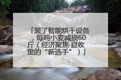 装了智能烘干设备，每吨小麦减损60斤（经济聚焦·夏收里的“新选手”）