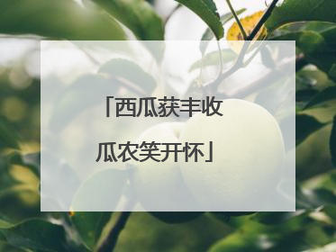 西瓜获丰收 瓜农笑开怀