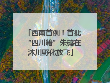 西南首例！首批“四川籍”朱鹮在沐川野化放飞