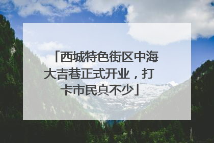 西城特色街区中海大吉巷正式开业，打卡市民真不少
