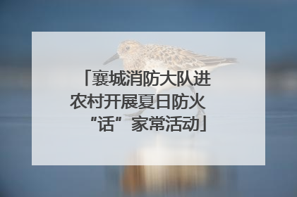 襄城消防大队进农村开展夏日防火“话”家常活动
