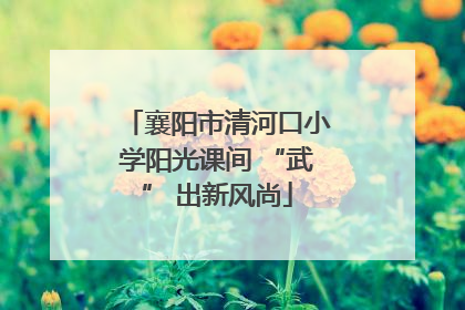襄阳市清河口小学阳光课间 “武” 出新风尚
