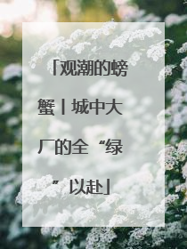 观潮的螃蟹丨城中大厂的全“绿”以赴