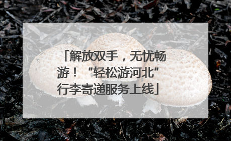 解放双手，无忧畅游！“轻松游河北”行李寄递服务上线
