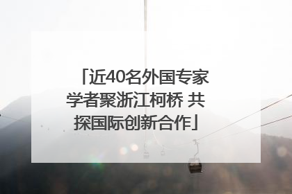 近40名外国专家学者聚浙江柯桥 共探国际创新合作