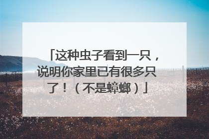 这种虫子看到一只，说明你家里已有很多只了！（不是蟑螂）