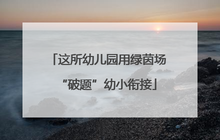 这所幼儿园用绿茵场“破题”幼小衔接