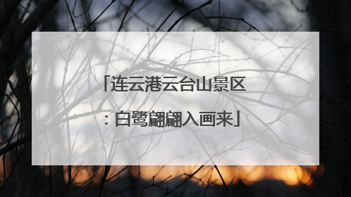 连云港云台山景区：白鹭翩翩入画来