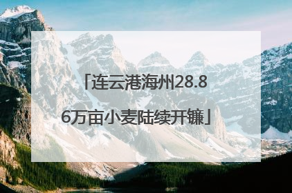 连云港海州28.86万亩小麦陆续开镰