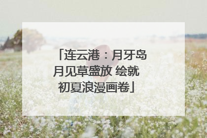 连云港：月牙岛月见草盛放 绘就初夏浪漫画卷