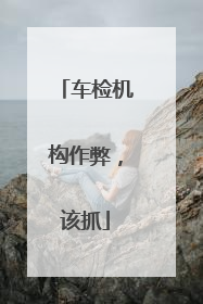 车检机构作弊，该抓