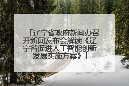 辽宁省政府新闻办召开新闻发布会解读《辽宁省促进人工智能创新发展实施方案》