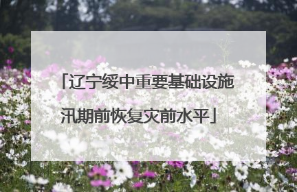 辽宁绥中重要基础设施汛期前恢复灾前水平