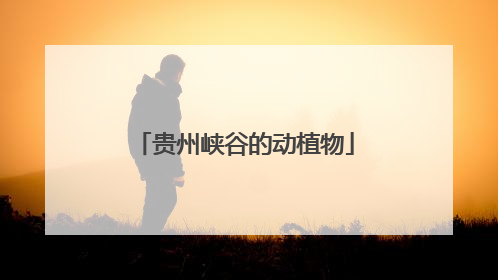 贵州峡谷的动植物