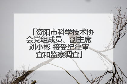 资阳市科学技术协会党组成员、副主席刘小彬 接受纪律审查和监察调查