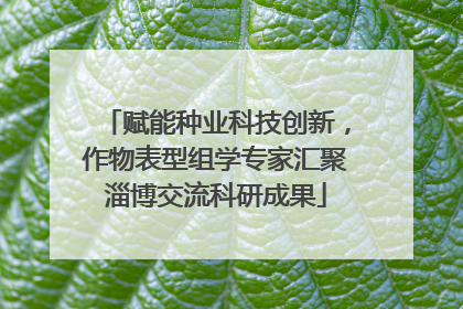 赋能种业科技创新，作物表型组学专家汇聚淄博交流科研成果