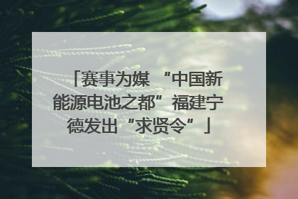 赛事为媒 “中国新能源电池之都”福建宁德发出“求贤令”