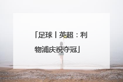 足球丨英超：利物浦庆祝夺冠