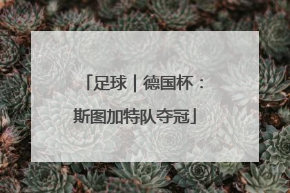 足球|德国杯:斯图加特队夺冠