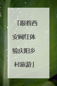 跟着西安网红体验庆阳乡村旅游