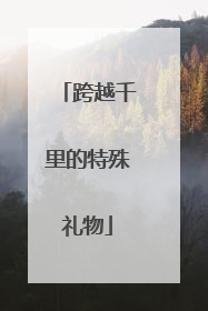 跨越千里的特殊礼物